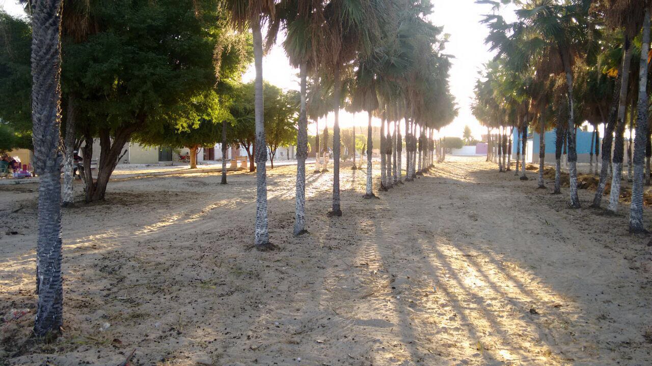 Praça do Salinópolis depois do mutirão de limpeza