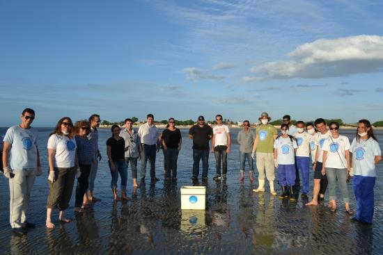 Biólogos e Equipe de Resgate do Projeto Cetáceos Costa Branca (Foto: Divulgação/Uern)
