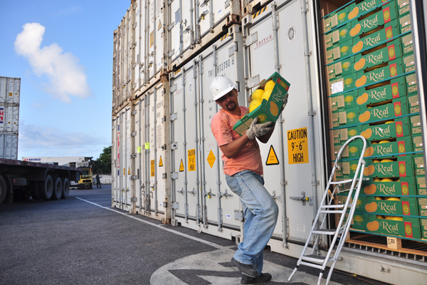 Melão é um dos produtos mais exportados atualmente pelo Porto de Natal (Foto: Divulgação/
