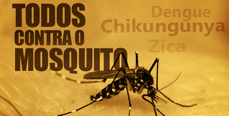 Campanha contra mosquito da dengue_Foto_Ilustrativa (2)