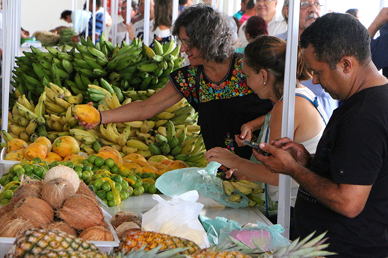 Central vai fortalecer e ampliar a atividade rural, gerando renda para os agricultores familiares