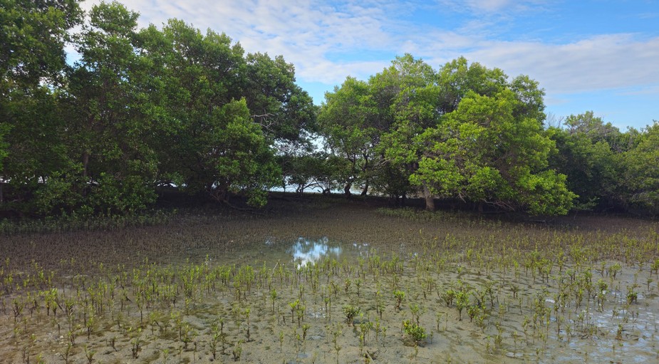 Diogo-Lopes.-Fotos-Joao-Vital-2