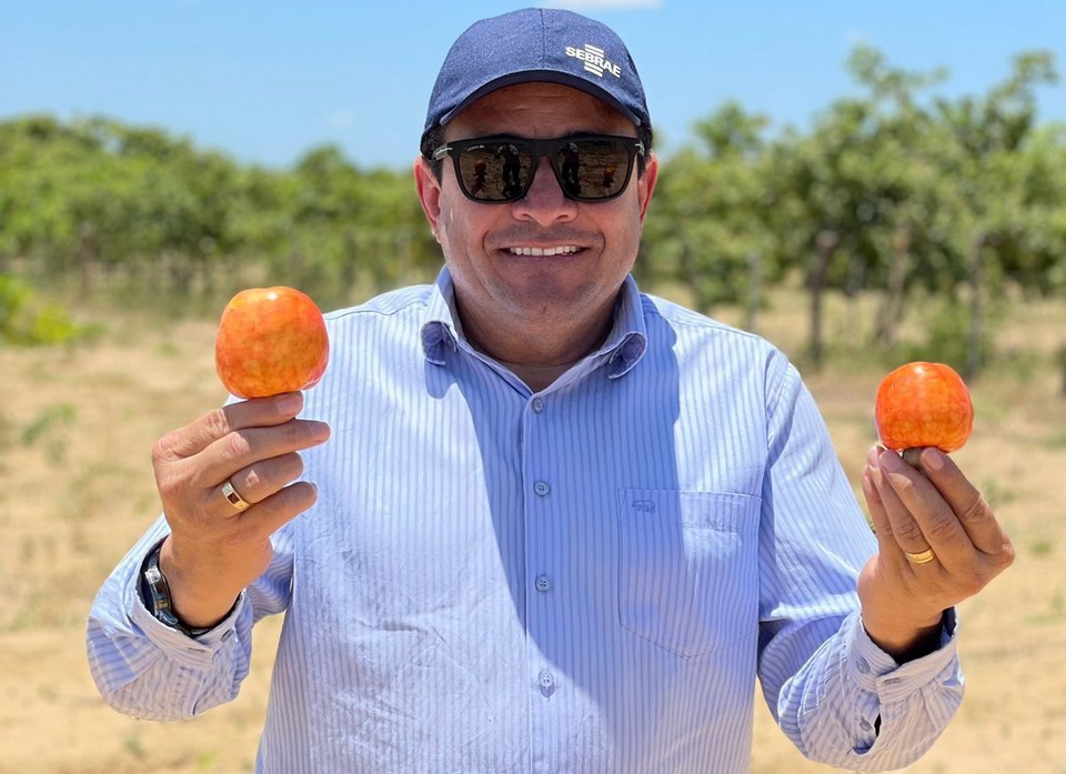 e431d010-9c6b-45aa-a006-72aaa07a2fd9