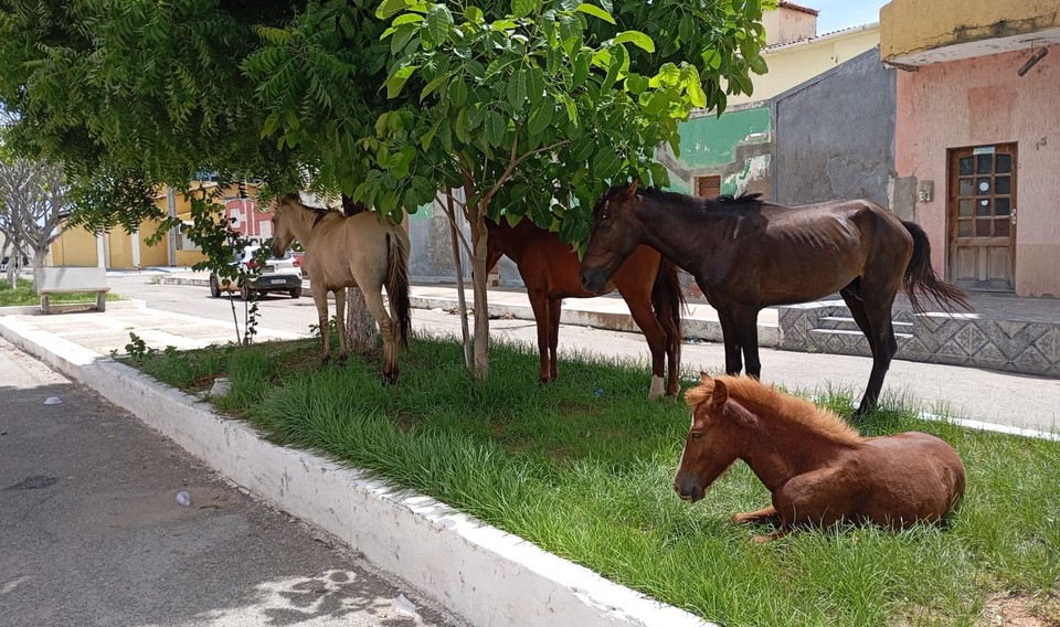 94481e50-3b5f-4b7b-b062-13bef99b5473