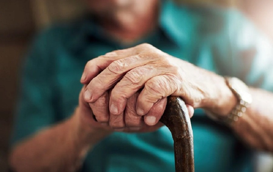 idosos-2520530-article