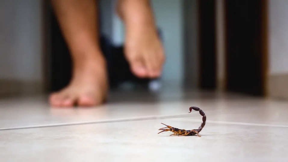 pisando no escorpião