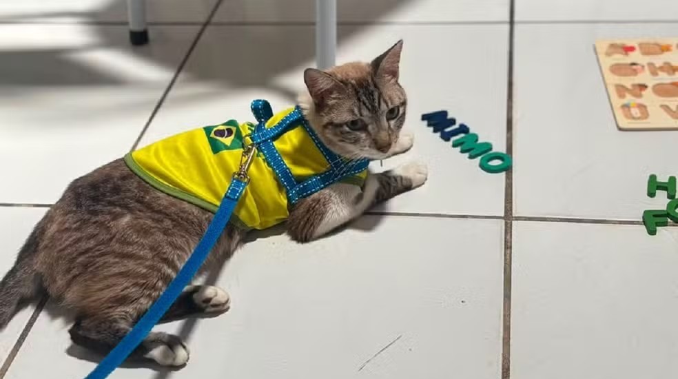 ,i,o vai pra casa